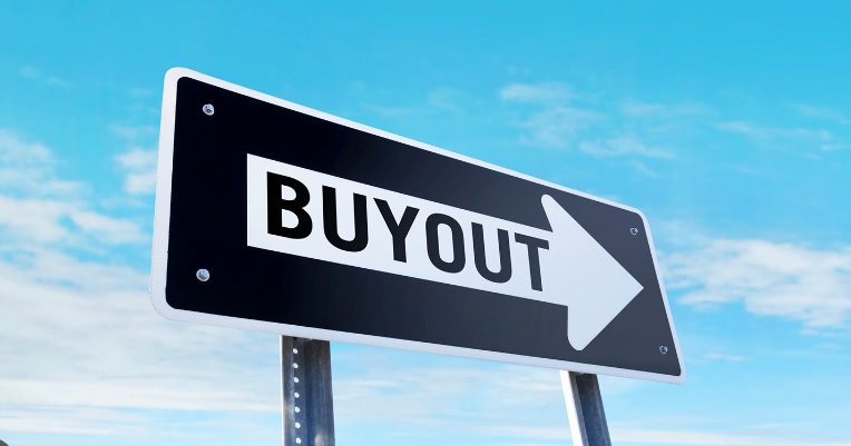 UAE HAYVN investors Deus X Capital buy out shareholders and appoint new CEO