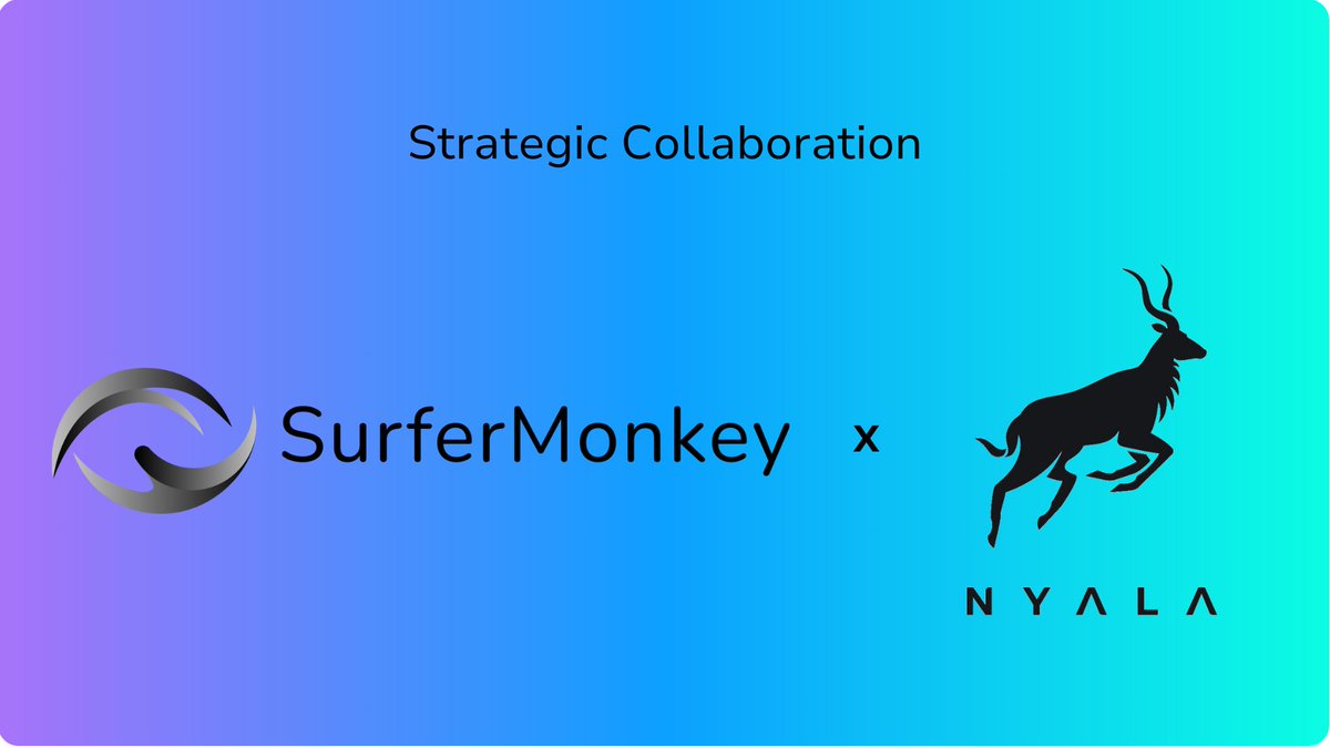 SurferMonkey partners with NYALA to bring privacy to tokenized assets